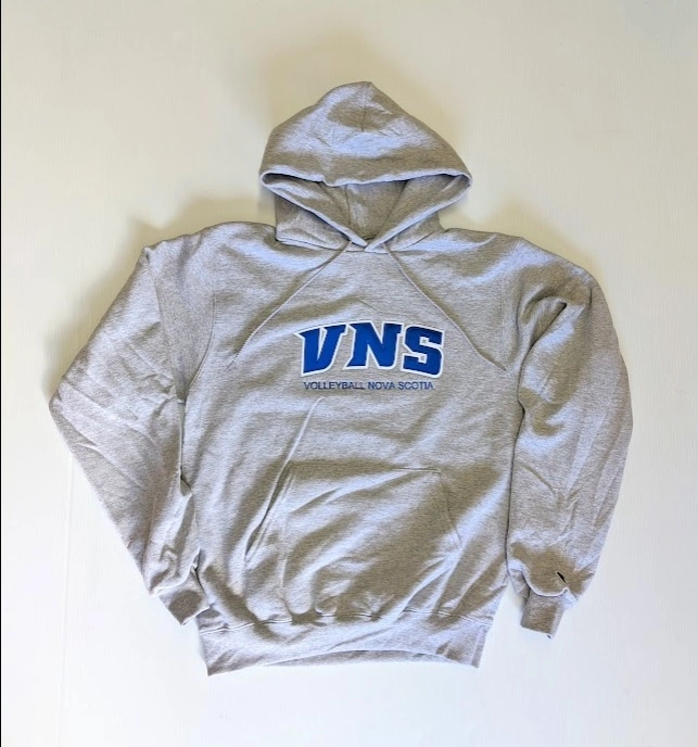 VNS COLLEGIATE HOODIE 2 VNS COLLEGIATE HOODIE - Image 2