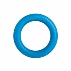 RINGETTE RING - BLUE OFFICIAL -Sportwheels Outlet Store image 3896