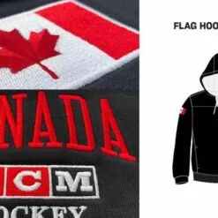 WOLVES CHAMPION S790 HOODIE YOUTH