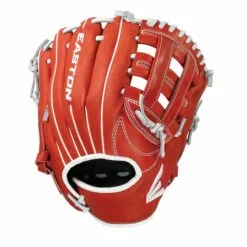 EASTON FUTURE ELITE GLOVES H WEB -Sportwheels Outlet Store image 4670