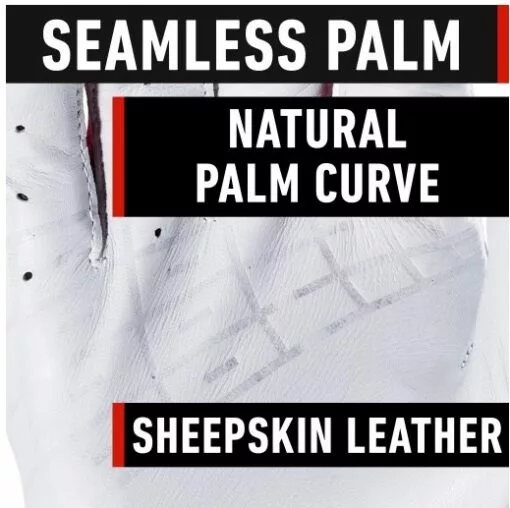 FRANKLIN POWERSTRAP CHROME BATTING GLOVE ADULT -Sportwheels Outlet Store image 5899