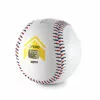 SKLZ BULLET BALL