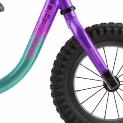 2021 LOUIS GARNEAU F-UN RUN BIKE TURQ/PURP -Sportwheels Outlet Store image 6312