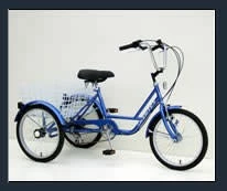 Genesis 20" Tricycle: 1-Speed Freewheel