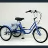 Genesis 24" Tricycle: 6-Speed Freewheel