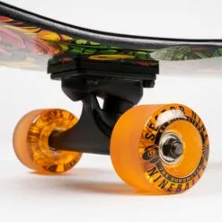 Sector 9 Complete Longboard - Eden FT. Point (34x8.75) -Sportwheels Outlet Store image 9312